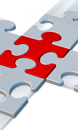 SAP Trainer und Networker Netzwerk